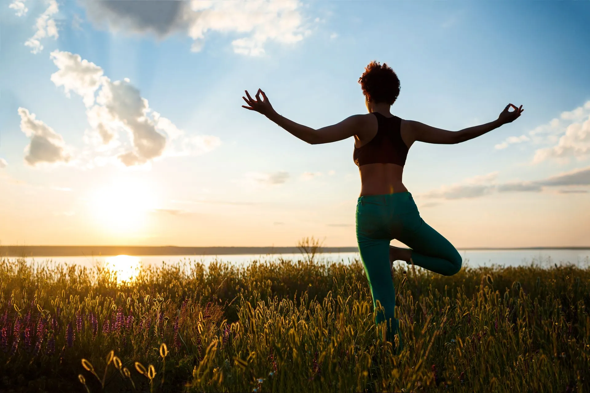 The Power of Holistic Coaching: Transforming Your Health and Wellness Journey